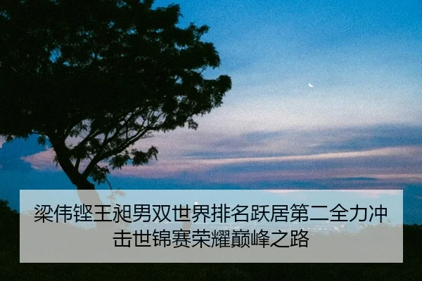liang-wei-keng-wang-chang-nan-shuang-shi-jie-pai-ming-yue-ju-di-er-quan-li-chong-ji-shi-jin-sai-rong-yao-dian-feng-zhi-3-401.jpg