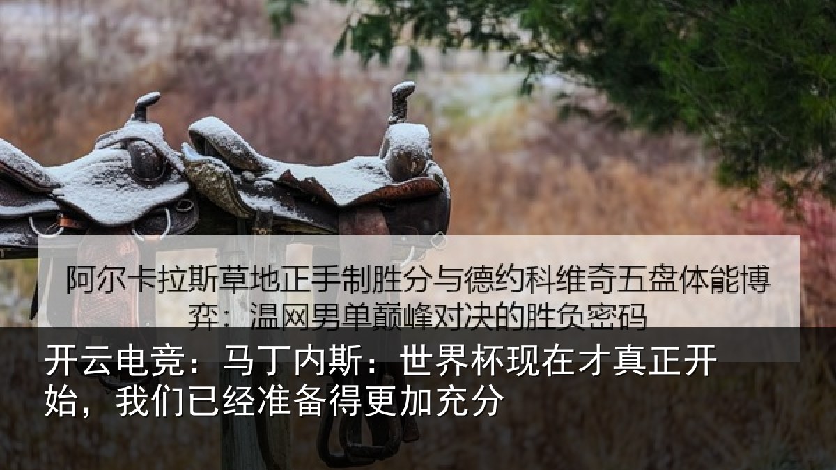 开云电竞：马丁相关情况真正相关情况得更加充分