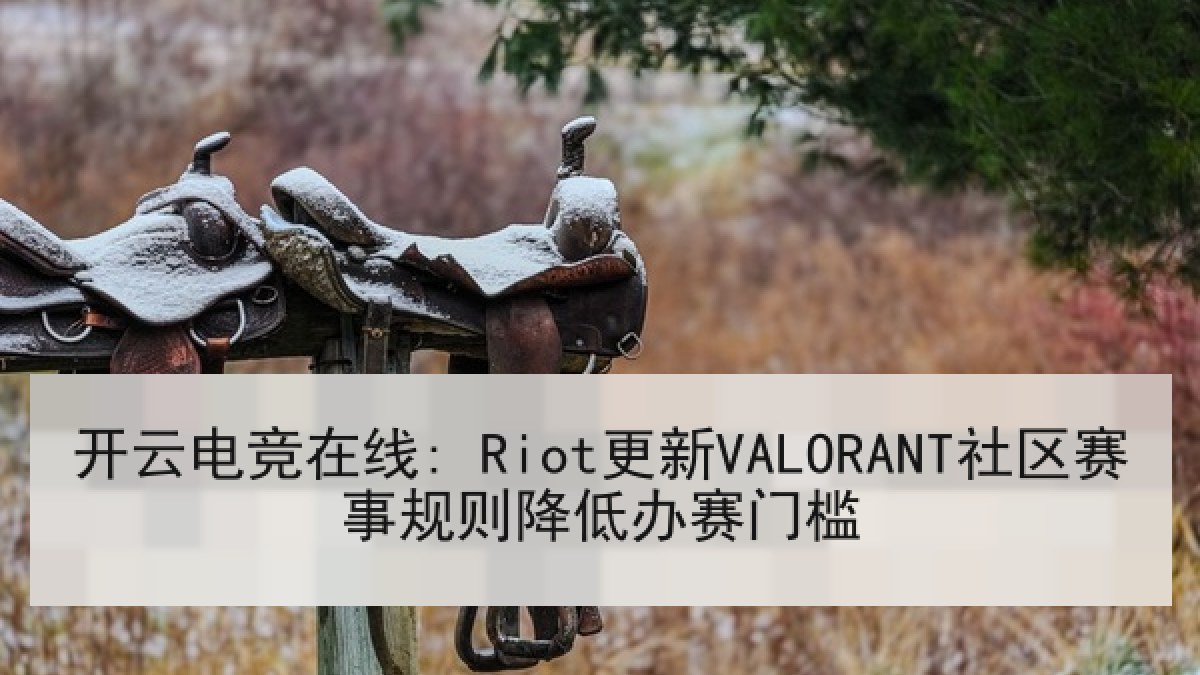 开云电竞在线: Riot更新VALORANT社区赛事规则降低办赛门槛