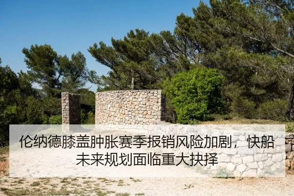 lun-na-de-xi-gai-zhong-zhang-sai-ji-bao-xiao-feng-xian-jia-ju-kuai-chuan-wei-lai-gui-hua-mian-lin-zhong-da-jue-ze-2-777.jpg