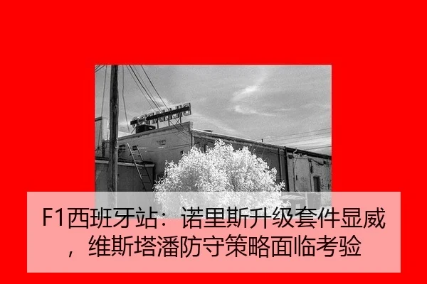 F1西班牙站：诺里斯升级套件显威，维斯塔潘防守策略面临考验