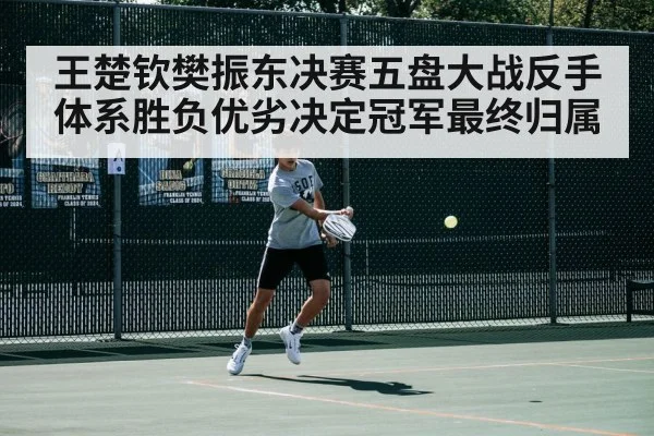 王楚钦樊振东决赛五盘大战反手体系胜负优劣决定冠军最终归属