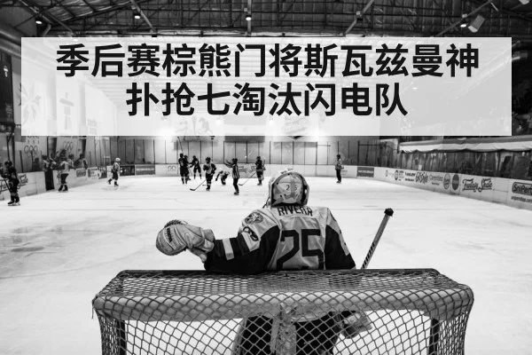 ice hockey playoff action